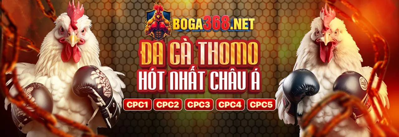 Đấu trường eSports, thiết lập chơi game, các tuyển thủ đang thi đấu
