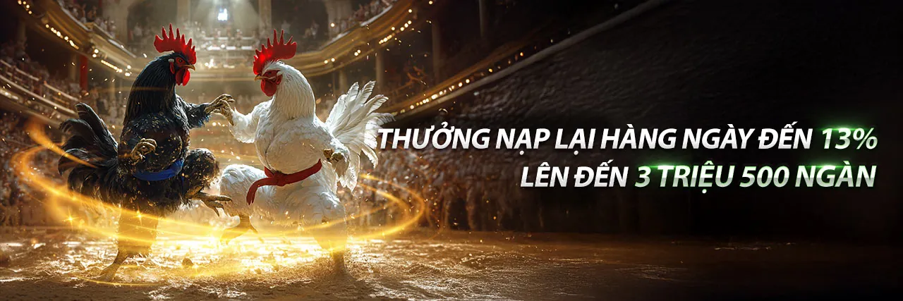 Khuyến Mãi pk345 link vào Hấp Dẫn